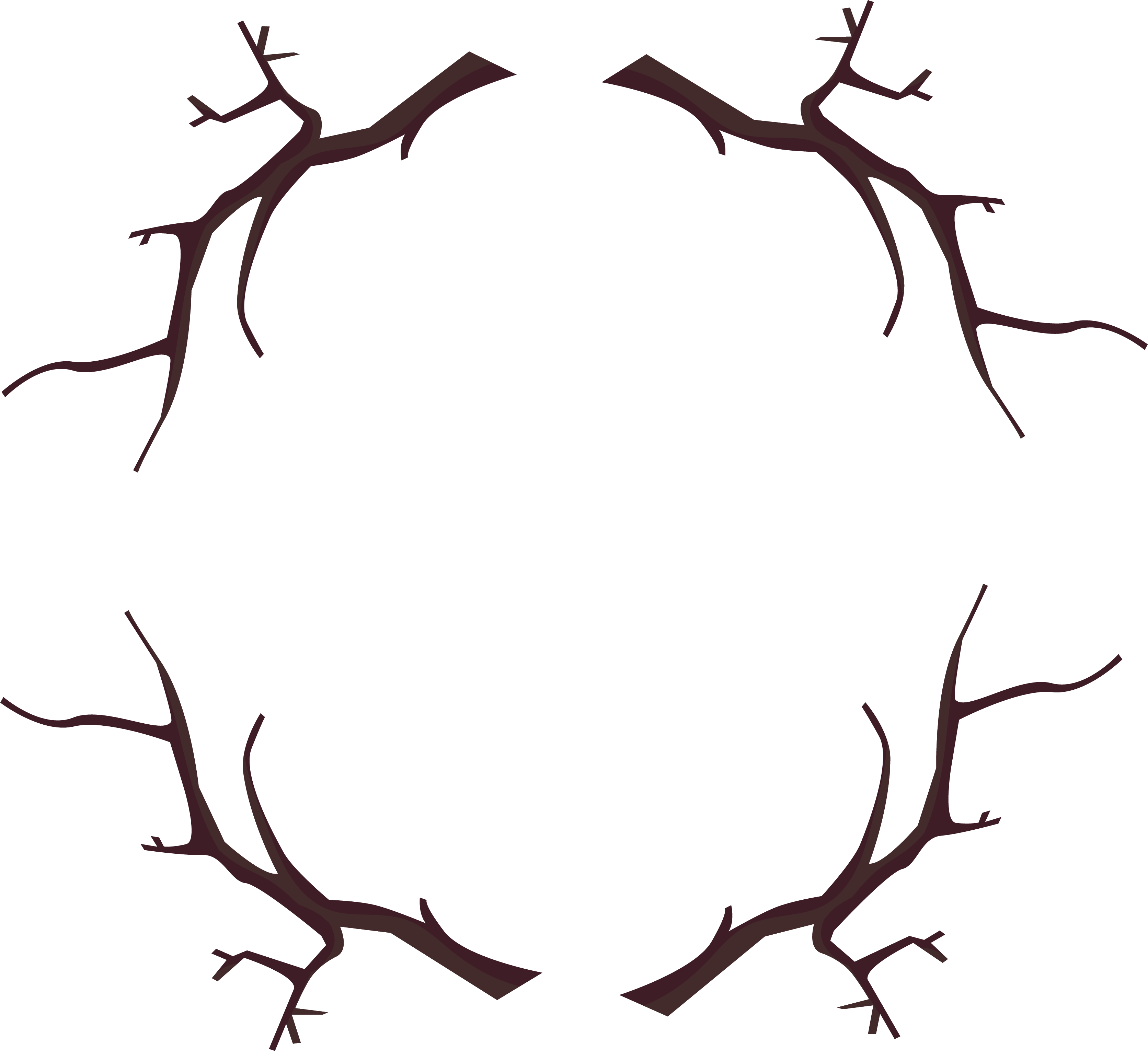 Branch Wood Frame - Branch Wood Frame (3344x3063)
