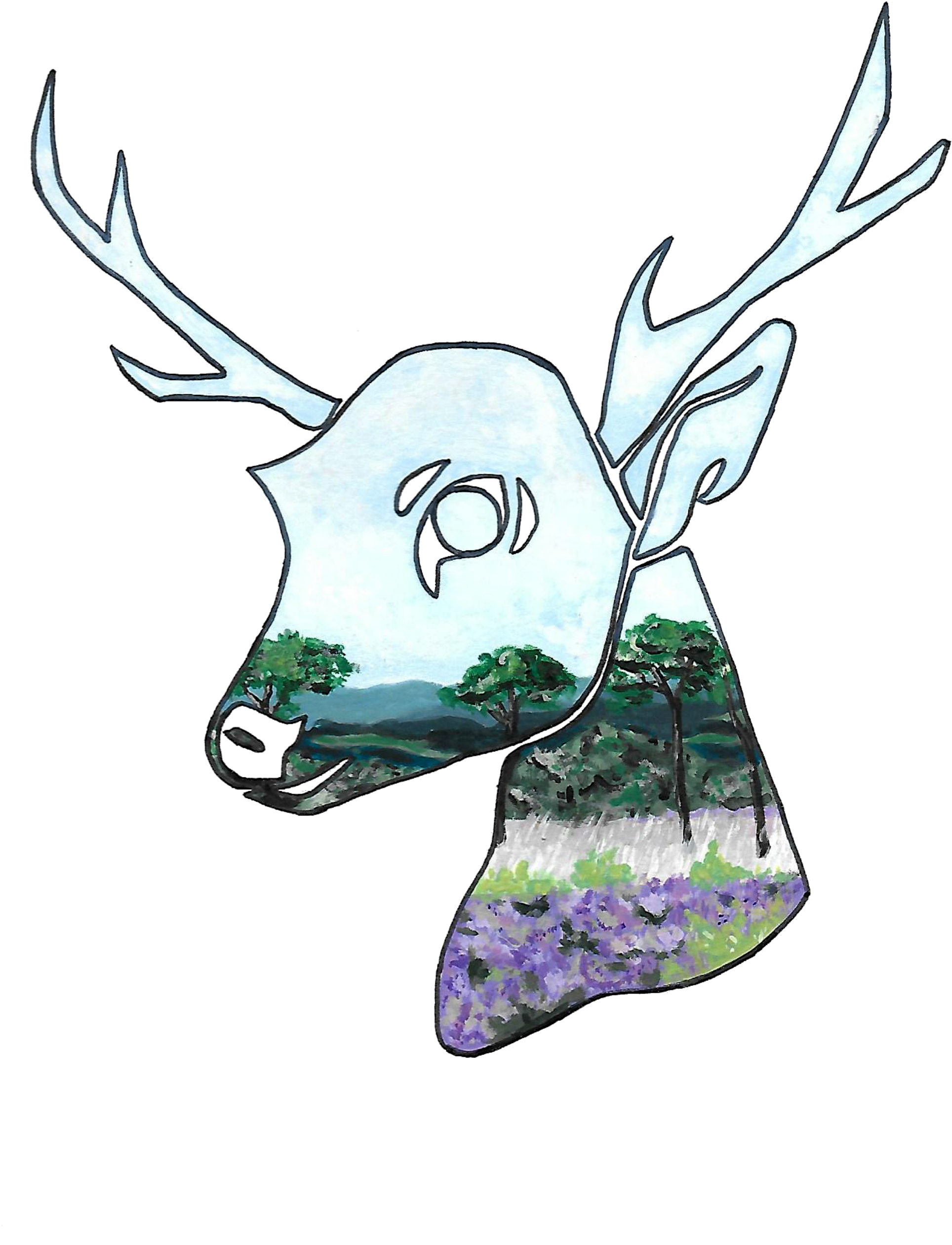 Deer Forest School - Cartoon (2000x2708)