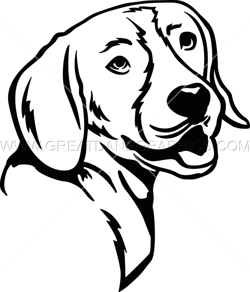 Beagle - Beagle Line Art (825x964)