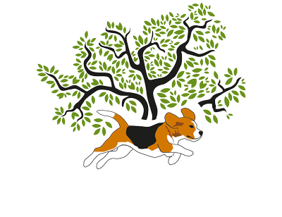 Logo - Big Tree Small Axe (400x308)