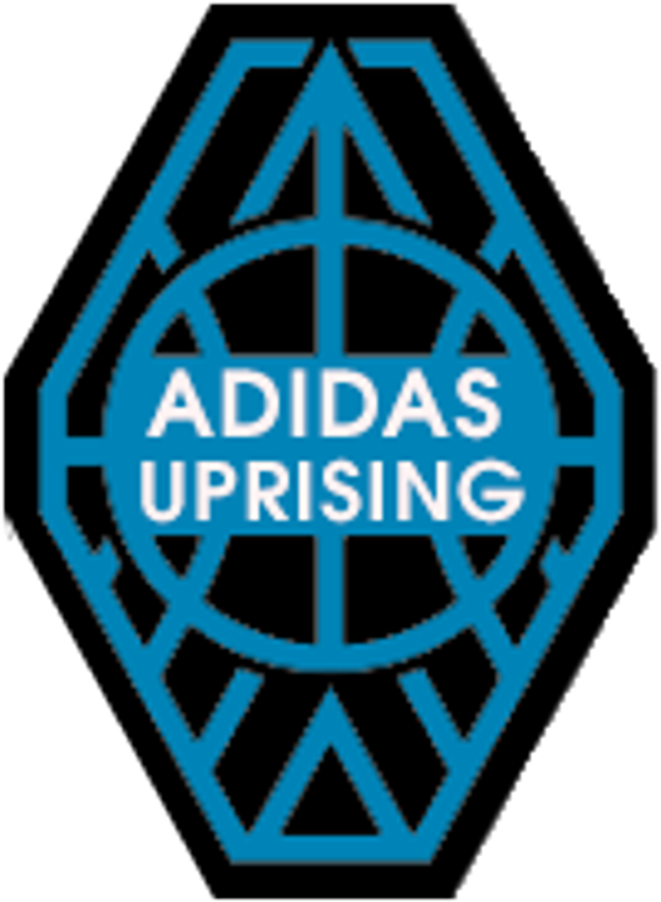 Auburn Raptors Girls Auraptors Girls - Adidas Uprising Logo (808x1024)