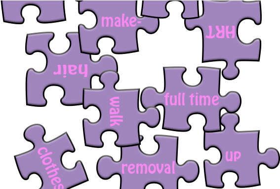 Most Transgender People Will At Some Point Decide To - Jigsaw Puzzle (600x381)