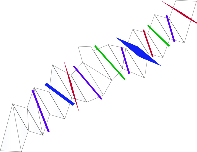 Free Clipart Transitions Salome00 Rh 1001freedownloads - Clip Art (800x617)