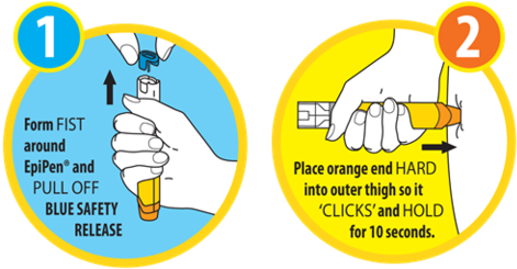 The Australialasian Society Of Clinical Immunology - Epipen How To Use (480x260)