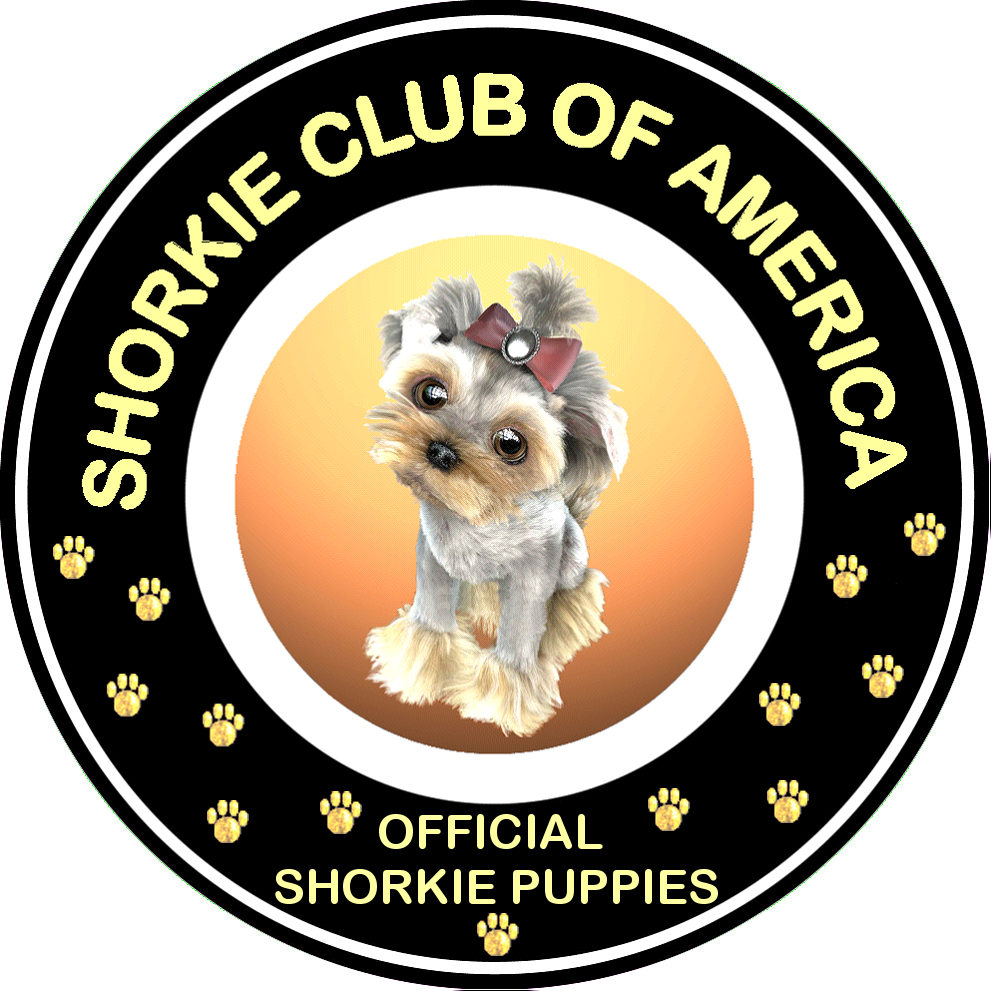 Please Take Note - Dandie Dinmont Terrier (993x993)