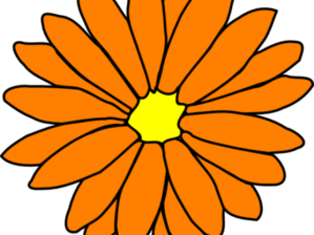 Yellow Flower Clipart Orange - Printable Pictures For Get Well Cards (640x480)