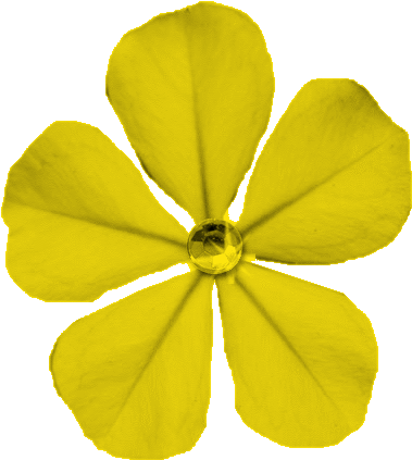 Free Flower Clip Art Images - Clip Art (410x440)