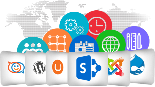 Over A Decade We Have Built A Reputation Of Being The - Cms (535x303)