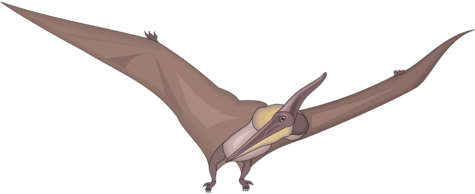 Dinosaurs Clipart Bird - Pteranodon Clipart (960x480)