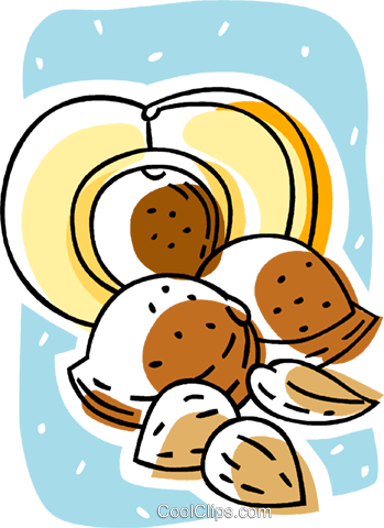 Almonds, Nuts Royalty Free Vector Clip Art Illustration - Food (349x480)