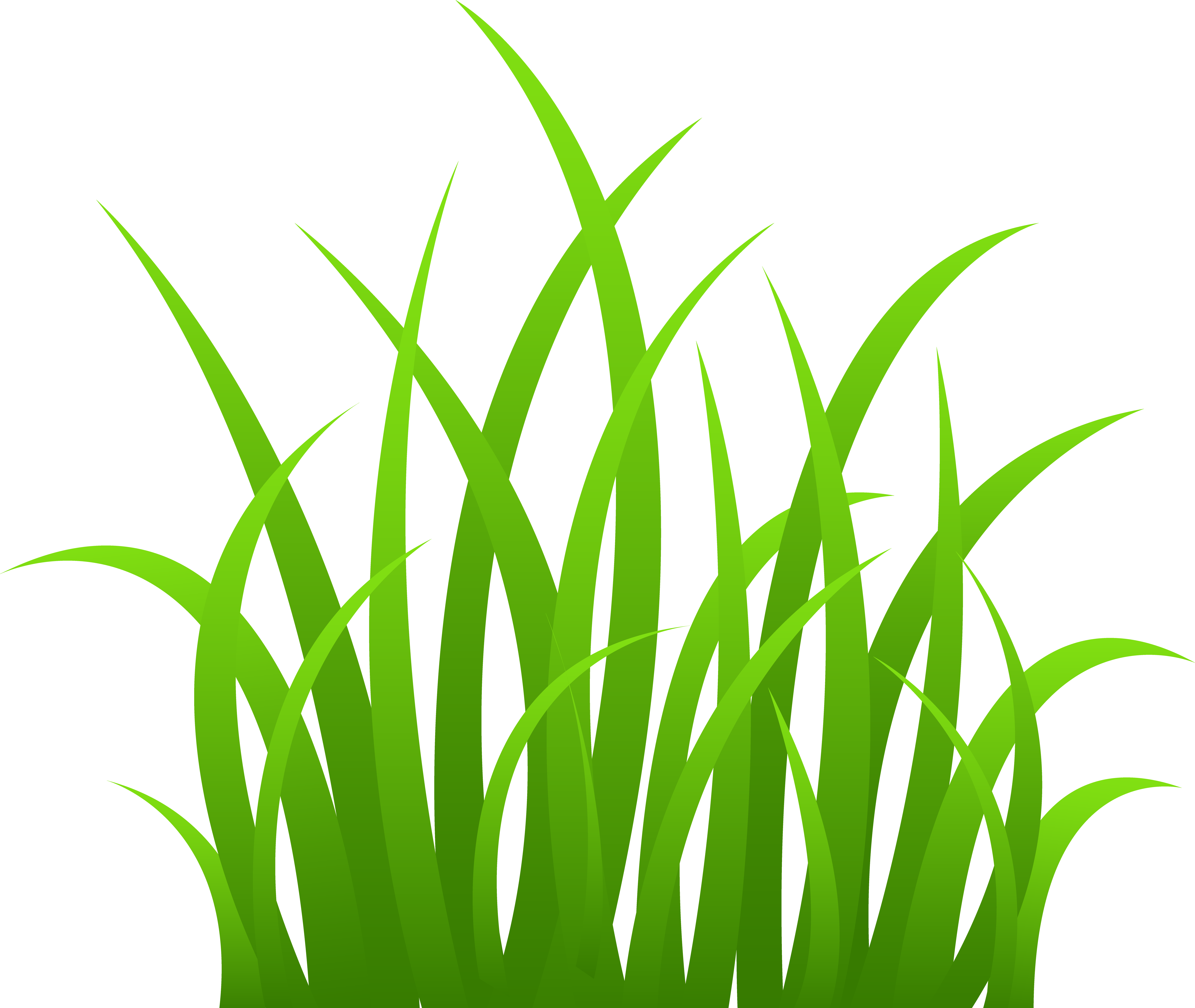 Shrub Bushes Clipart Plant Grass - Grass Clipart Png (5871x4953)