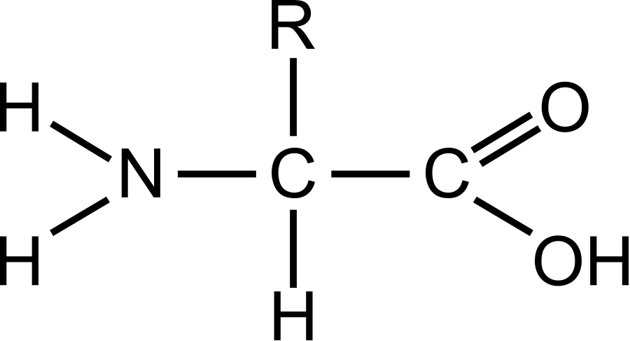 Amino - Clipart - Generalized Structure Of An Amino Acid (1380x750)