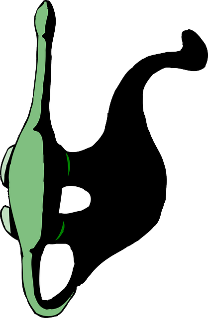 View, Shadow, Dinosaur, Long, Neck, Tail, Ancient - Dinosaurs Vector Top View (418x640)