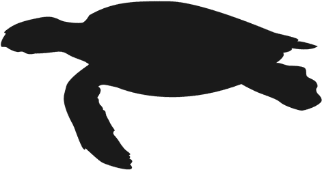 Sea Turtle Swimming Silhouette Transparent Png - Sea Turtle Silhouette Vector (512x512)