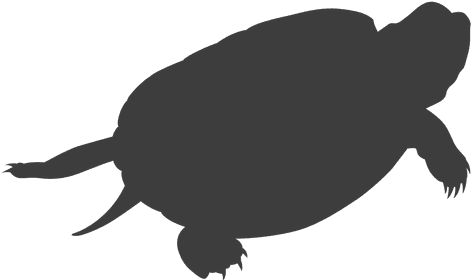 Turtle Lying Silhouette - Tortuga Silueta Png (512x512)