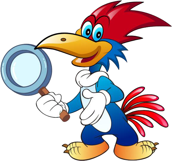 Woody Woodpecker Cartoon - Cartoon (1024x928)
