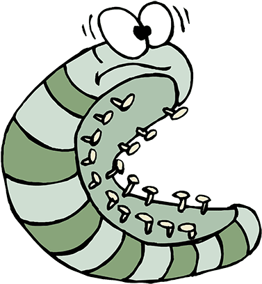 Bug Clipart Science - Roly Poly Pill Bugs (400x422)