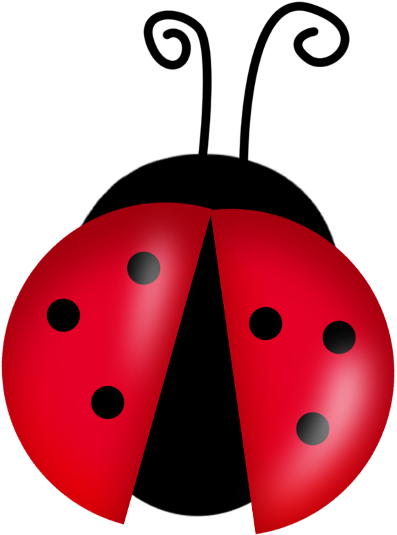 Ladybug Clipart (579x777)