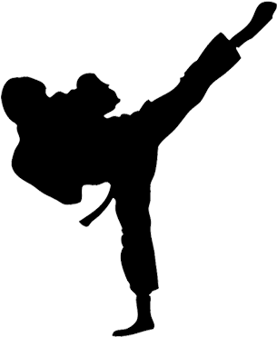 To Park's Us Taekwondo Center In Manchester, Connecticut - Taekwondo Kick Png (336x411)