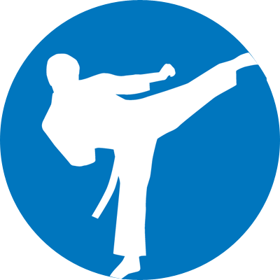 Martial Arts - Miami Herald (400x400)
