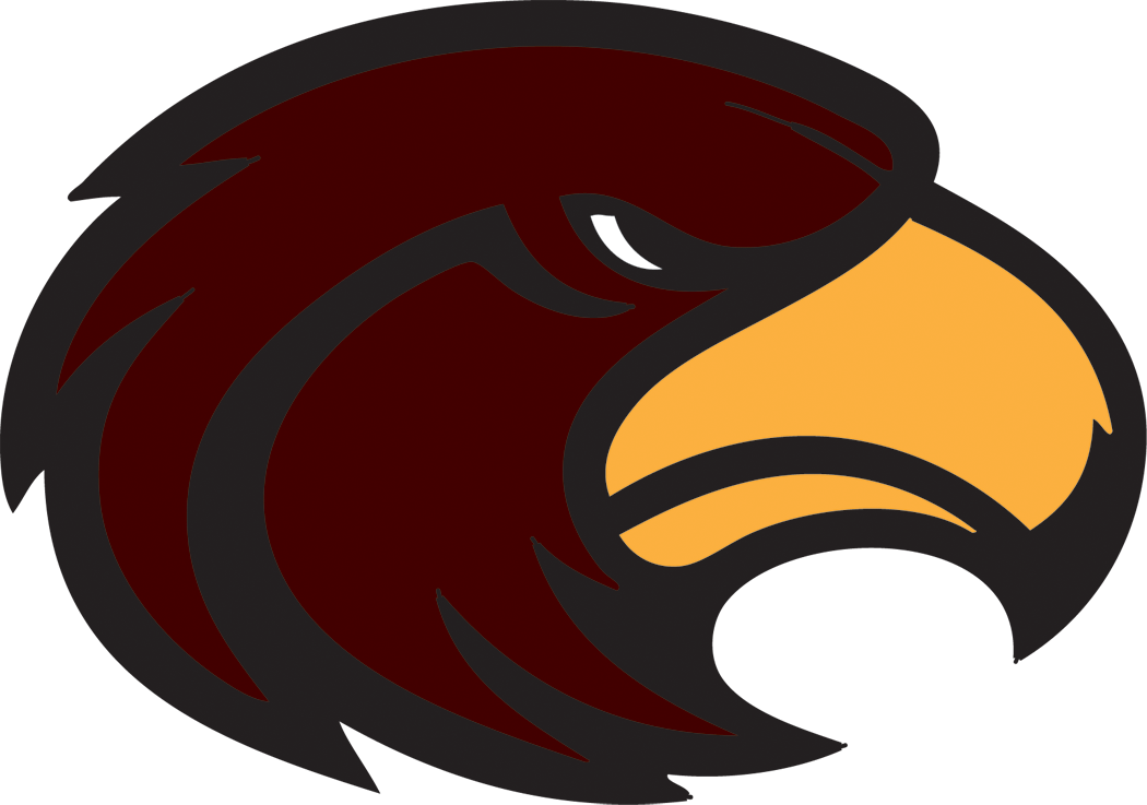 Eagle Head Maroon Transparent Right - Southern Miss University Mascot (1050x737)