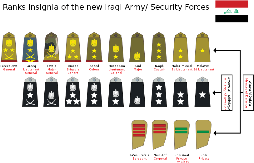Iraqi Army Ranks Insignia (842x595)