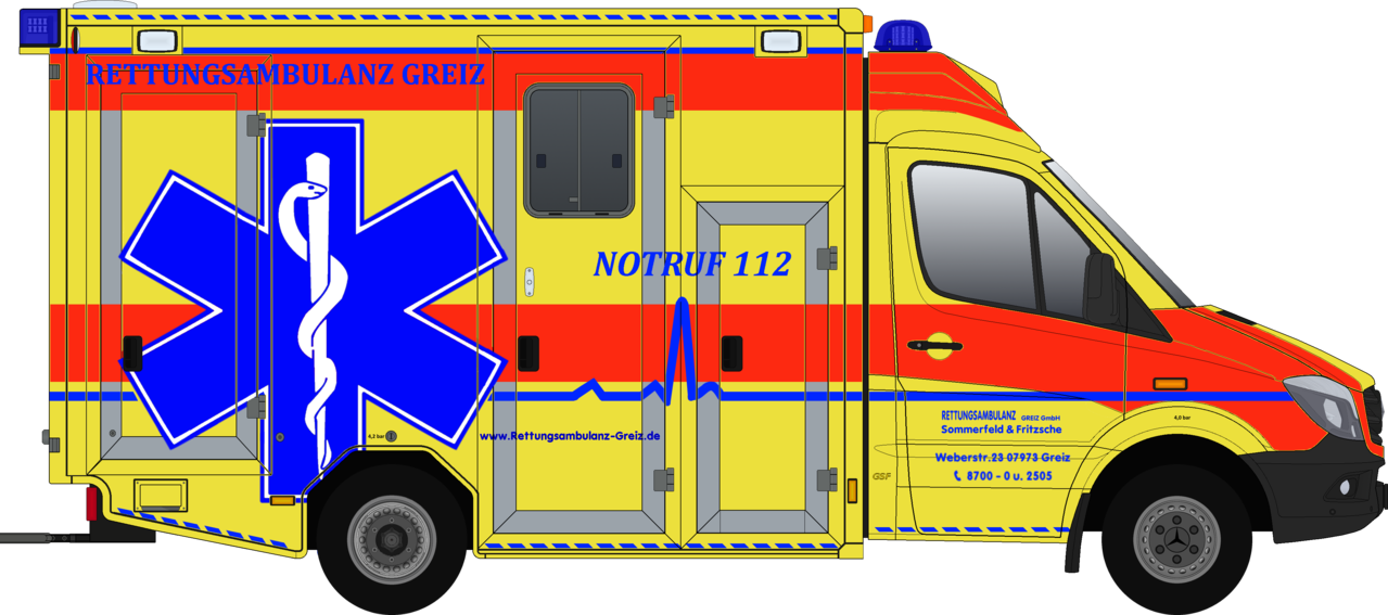 Neuer Rtw 2 Greiz - Star Of Life (1279x567)