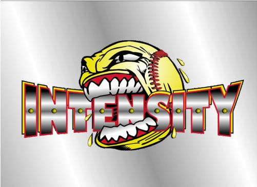 Intensity Logo Custom Die-cut Sticker - Intensity Softball Shirt Ideas (500x500)