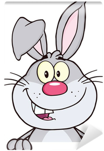 Gray Rabbit Cartoon Mascot Character Over Blank Sign - Pink Rabbit Cartoon Png (400x400)