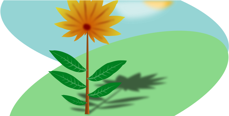 Similar Clip Art - Basic Needs Of Plants (800x400)