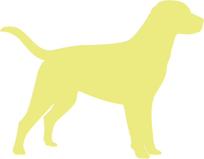 These Females Will Go Into Pet Homes, Only - Team Labradoodle Cute Dog Lover Pawprint T-shirt (901x582)
