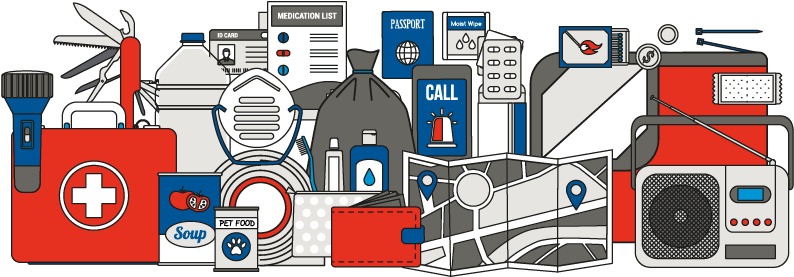 Graphic Of Various Survival Supplies - Screenshot (800x300)