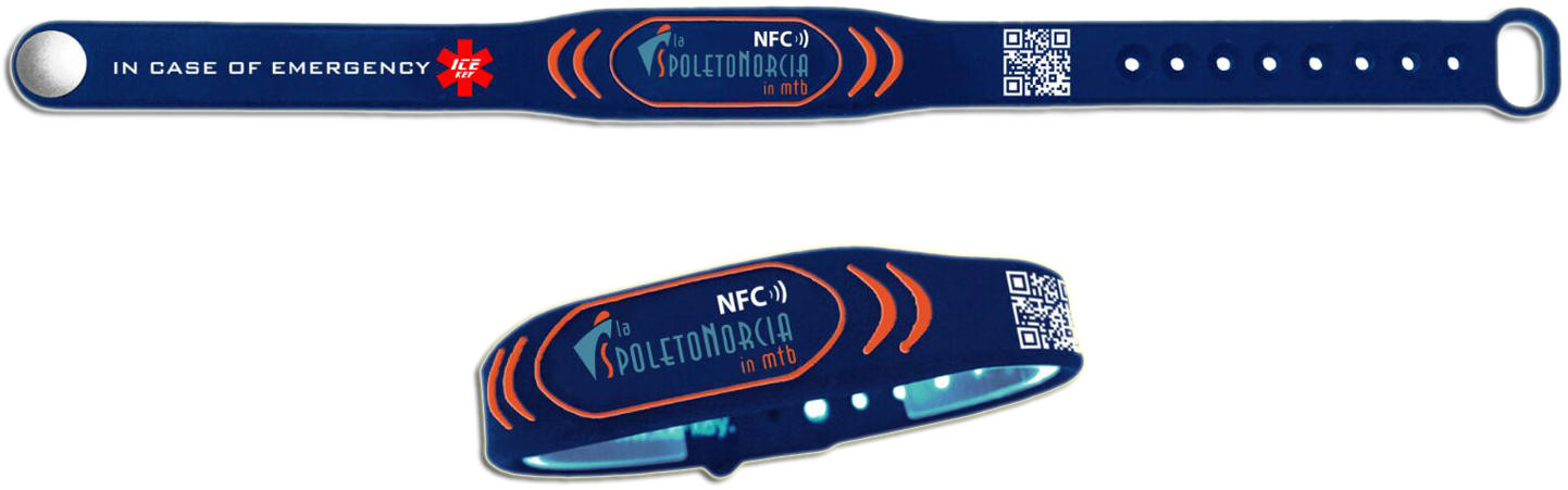 Ice-key Is A Device Able To Give An Identity To An - Ski (1459x483)