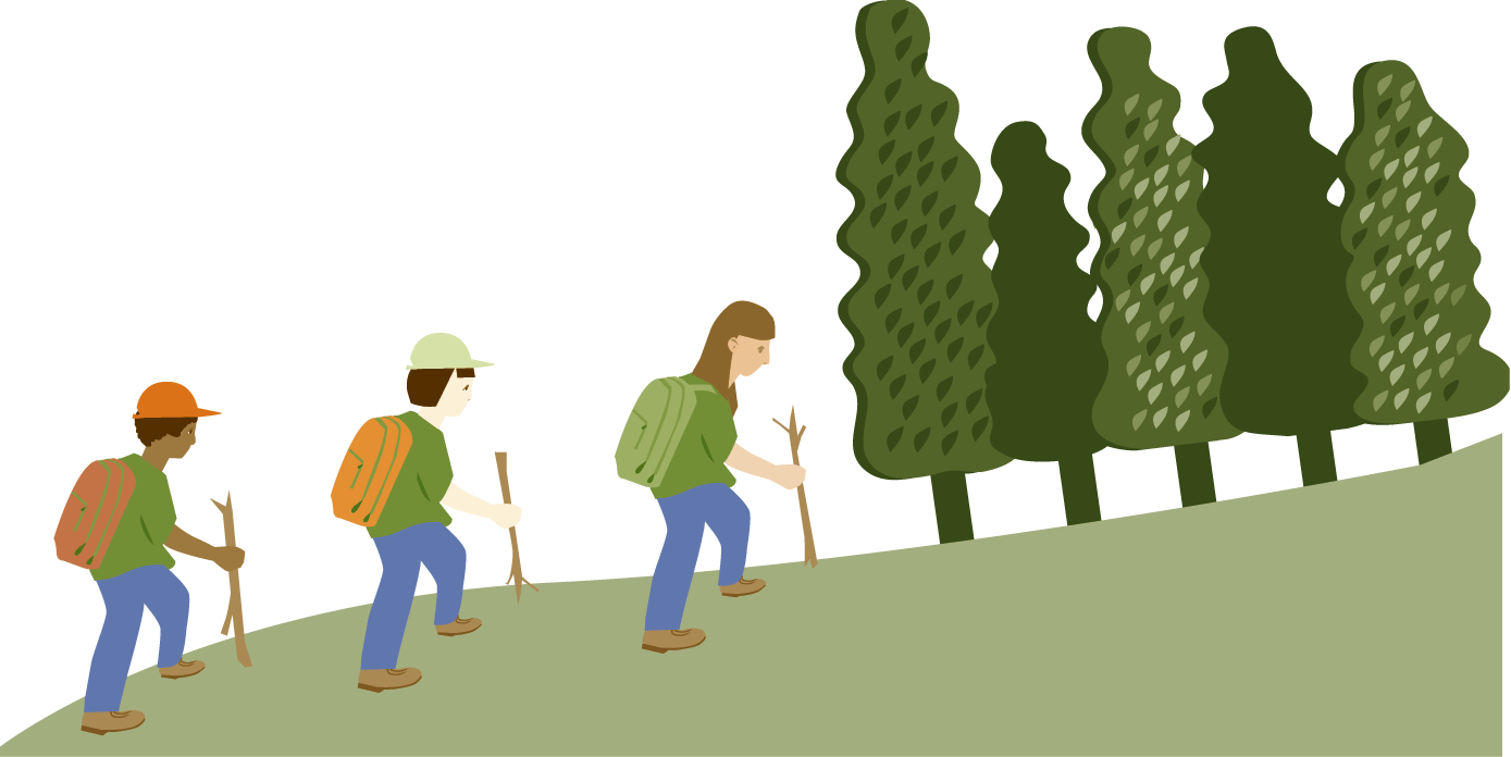 Clip Art - Forest Clip Art (1389x696)