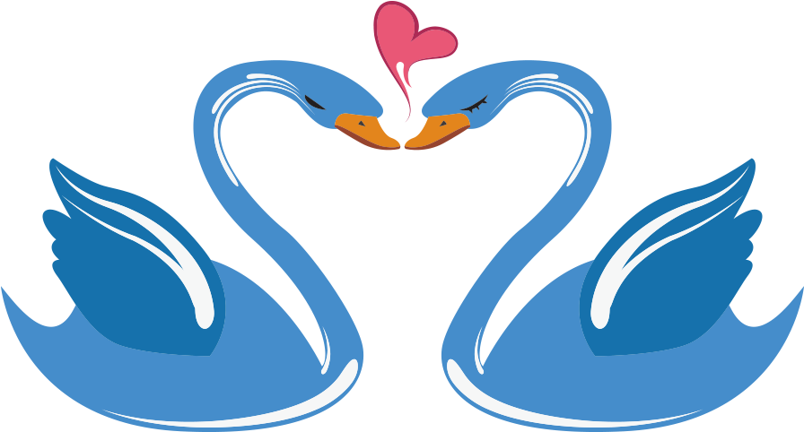 Swan Love Cartoon - Swan Heart Png (1000x1000)