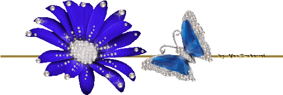 Floral Text Dividers, Butterfly Clip Art, Digital Clipart,digital - Earrings (561x252)
