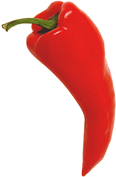Red Chili Pepper - Chili Pepper Red (392x594)