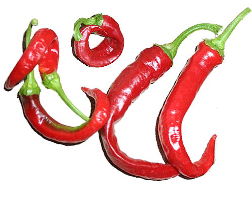 Hot Red Goathorn Chile Peppers - Aji Cacho De Cabra (499x500)
