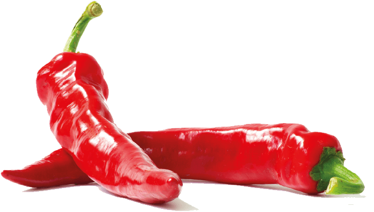 About Hanse Orga Group - Chili Con Carne (859x575)