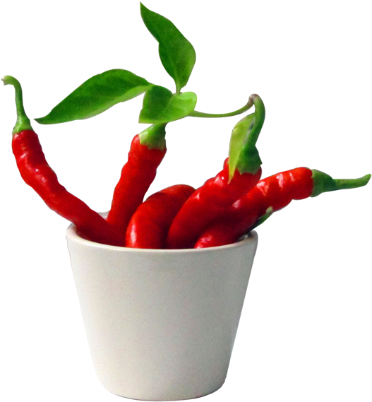 19003 Sweet Red Pepper Piparra Roja - 19003 (600x600)
