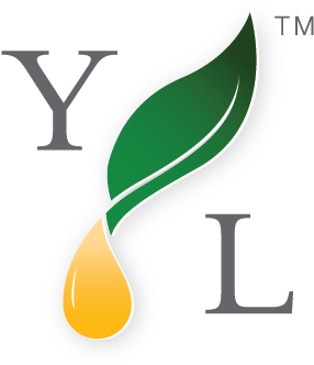 July's Essential Edge Is Here - Young Living Logo High Resolution (375x375)