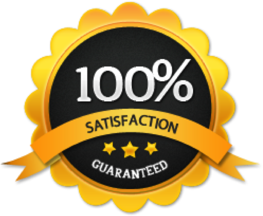 The Latest Wisdom From Brain Science And Human Behavior - Renook Silver Grill Mat Set Of 2 Reusable Non-stick (520x520)