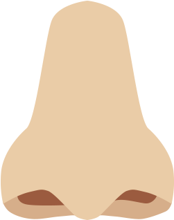 Nose Clipart Transparent Background - Nose With No Background (577x442)