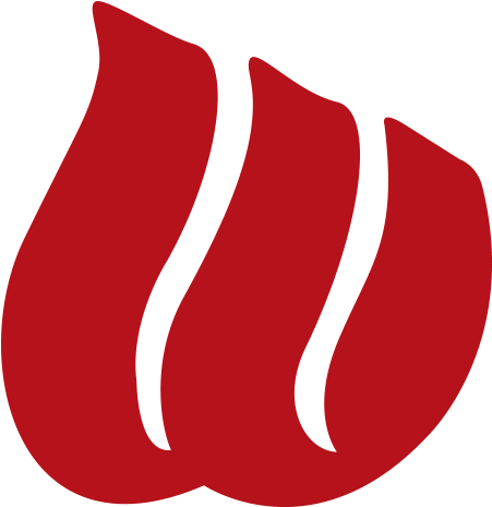 Wesley Medical Center Logo (512x512)