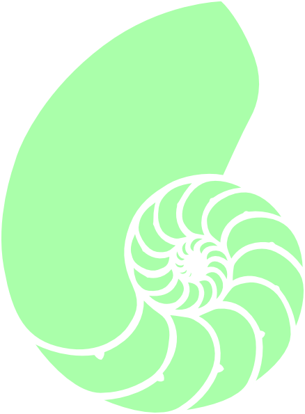 Nautilus Shell Kappa Delta (438x595)