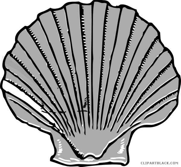 Shell Animal Free Black White Clipart Images Clipartblack - Shell Clip Art (600x554)