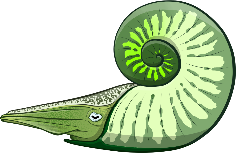 Devil's Bathtub Snailsquid By Thewildeast - Pterosaurs (1002x651)