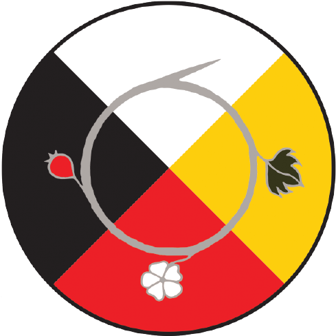 The Center Of American Indian And Minority Health Was - Medicine (509x509)