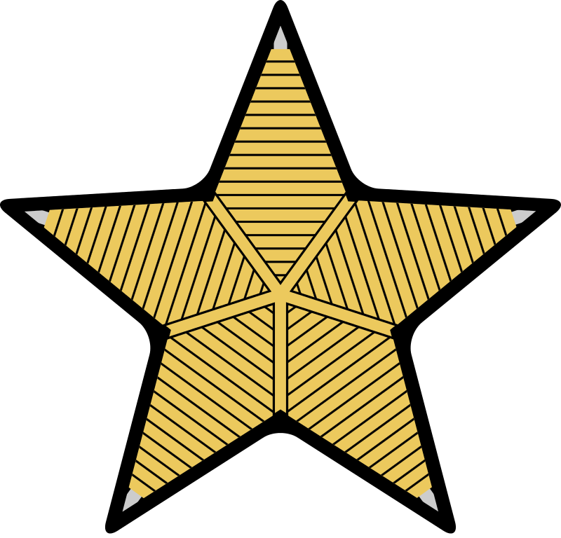 Confederate States Of America Major - Star Ratings Logo Png (800x768)