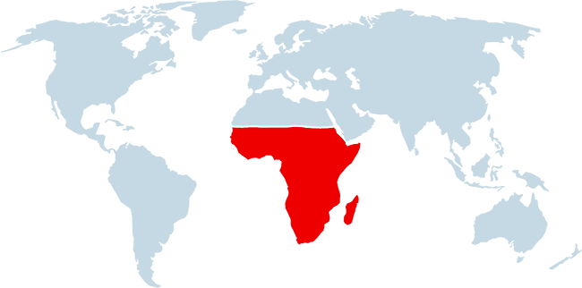 Africa And Madagascar - 2014 Fifa World Cup (650x322)